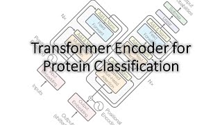 A Very Simple Transformer Encoder for Protein Classification in PyTorch
