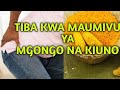 TIBA KWA MAUMIVU YA MGONGO NA KIUNO,YAHARAKA
