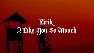 Download lagu Lirik:I Like You So Muach