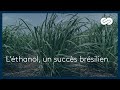 Ethanol: A Brazilian Success Story