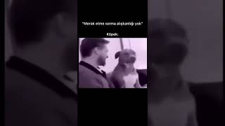 Lan Dur Anani
