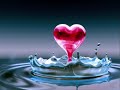 Leo Dan.......el amor estuvo aqui