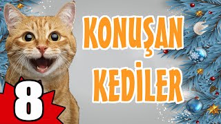 Konuşan Kedi̇ler 8 - En Komi̇k Kedi̇ Vi̇deolari