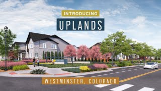 Introducing Uplands