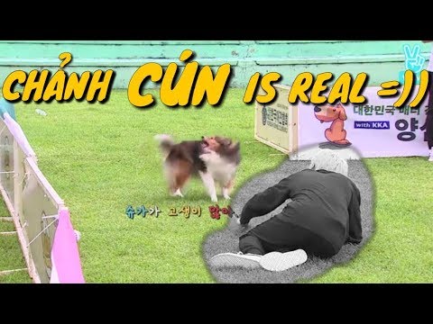 VIETSUB ENGSUB Chảnh CÚN is real = BTS
