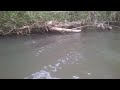 Mandi Di Kali images Mandi Di Kali