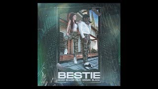 Bhad Bhabie Feat. Kodak Black Bestie (Official Lyric Video) | Danielle Bregoli