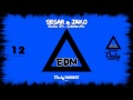 Sesar Jako Shake It Celebrate Ep Edm Electronic Dance Music images Sesar Jako Shake It Celebrate Ep Edm Electronic Dance Music