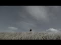 Douglas Dare - Nile (Official Music Video)