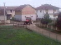Zetor 53 41