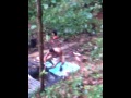 Bogel Telanjang images Bogel Telanjang