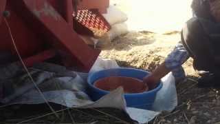 Kürecik-Çakıllıpınar Köyü-Gundê Bîlaman