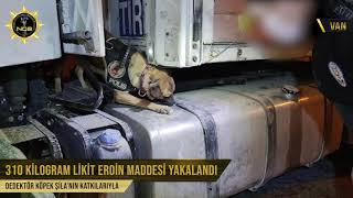 Dedektör köpek Şila'nın katkılarıyla 310 kilogram Likit Eroin ele geçirildi.