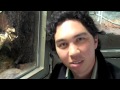 zootube
