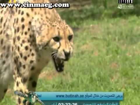 Watch البرنامج الوثائقي -أنا وحش