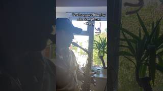 Teaching Myself To Play Alto Saxophone Day 3