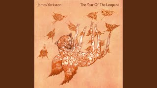 Watch James Yorkston Orgiva Song video