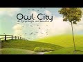 Owl City - Honey And The Bee