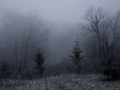 A Million Miles (From Nowhere) - Jay Duncan