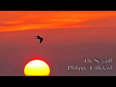 S'aimer Au Soleil Video
