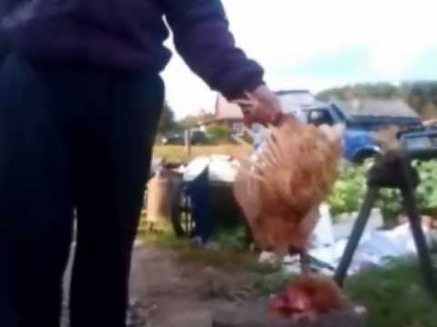 Как оторвать голову своими руками Как оторвать голову своими руками