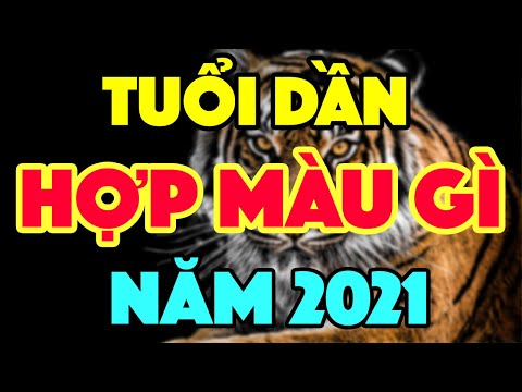 Tuổi Dần Hợp Màu Gì 2021 để MANG LẠI MAY MẮN TÀI LỘC GIÀU SANG TRONG NĂM MỚI