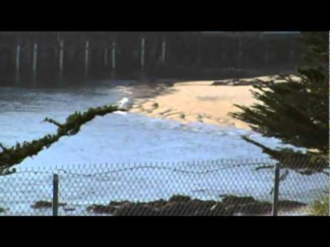 Tsunami monterey ca today
