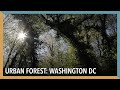 The Wonders of Nature: Washington DC | VOA Connect