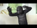 Corning® Gorilla® Glass 4: Surprise Attack (Couch)
