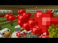 MACHPC