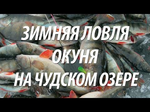 что клюет на чудском что клюет на чудском