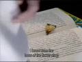 foto dolphin bay ep 17-18 part 1/9