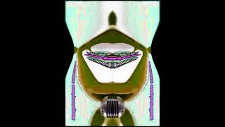 Klaskyklaskyklaskyklasky Gummy Bear Iin G Major 2804