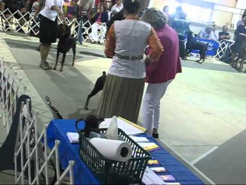 Woman kept in dog cage - WorldNews