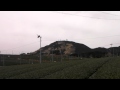掛川茶畑ツアー 茶畑4 ／掛川一風堂