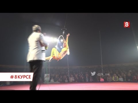 жираф тв новосибирск программа жираф тв новосибирск программа