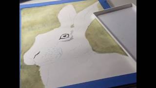 Painting watercolor in grisaille