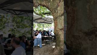 Cafe By The C Under A Huge Old Tree. Strasbourg.