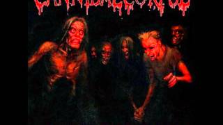 Watch Cannibal Corpse Scalding Hail video