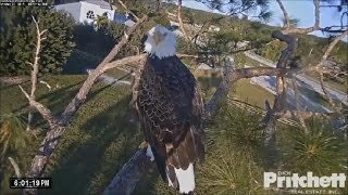 Watch Eagles All By Myself video
