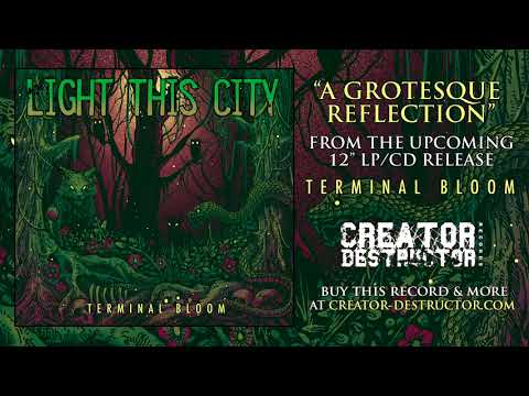 A Grotesque Reflection Video