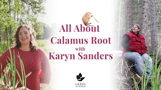 Calamus Medicine With Karyn Sanders