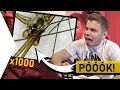DOLGOK MIKROSZKÓP ALATT!! #2.