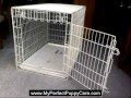 How to Crate Train Lab Puppies