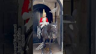 Regal Horses Sneezes And Farts Bringing Smiles To The Kings Guard And Laughter To The Crowd