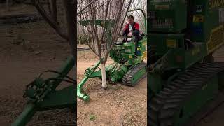 Tree Transplanting With A Tree Spade