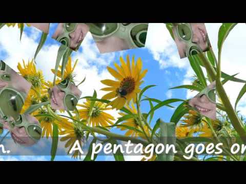 Polly Had a Polygon Video