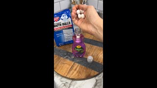 This Mothball Hack Will Make Your Home Pest Free Forever