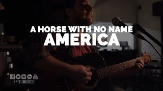 PITU - A Horse With no Name (America)