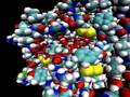 Elastase Function | RM. Elastase Function | RM.